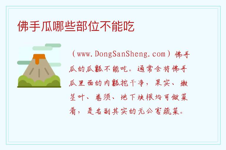 佛手瓜哪些部位不能吃 