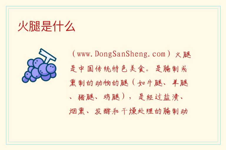火腿是什么 
