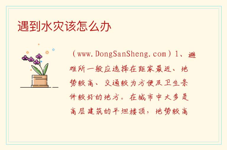 遇到水灾该怎么办 