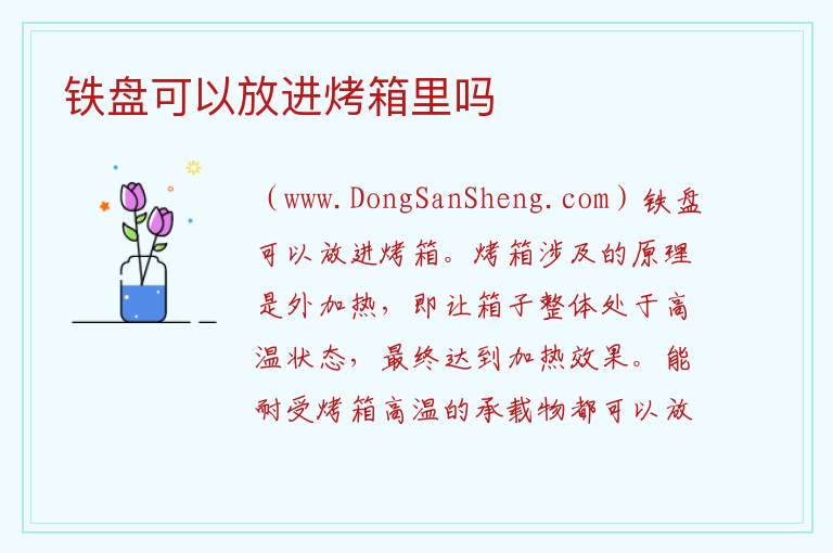 铁盘可以放进烤箱里吗 