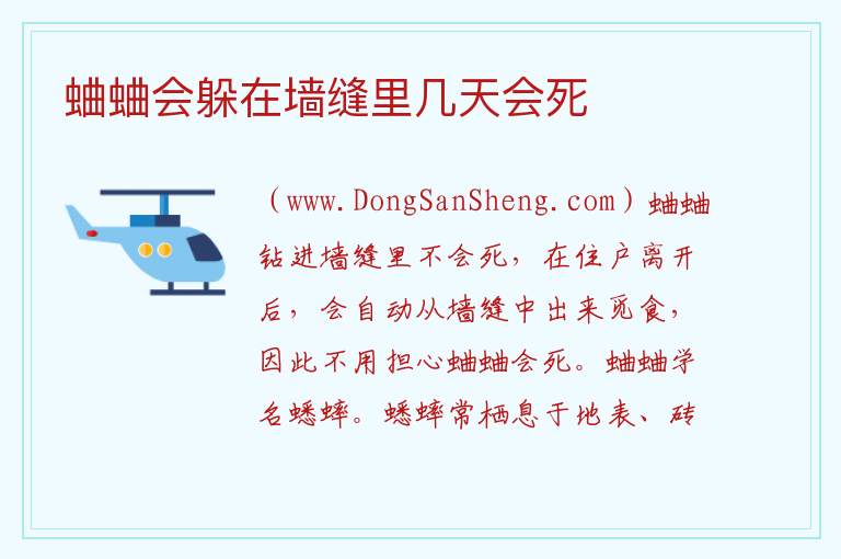 蛐蛐会躲在墙缝里几天会死 