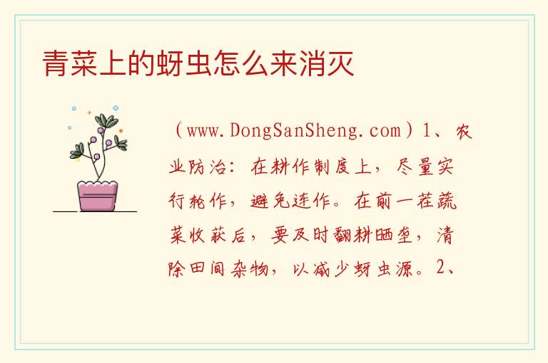 青菜上的蚜虫怎么来消灭 