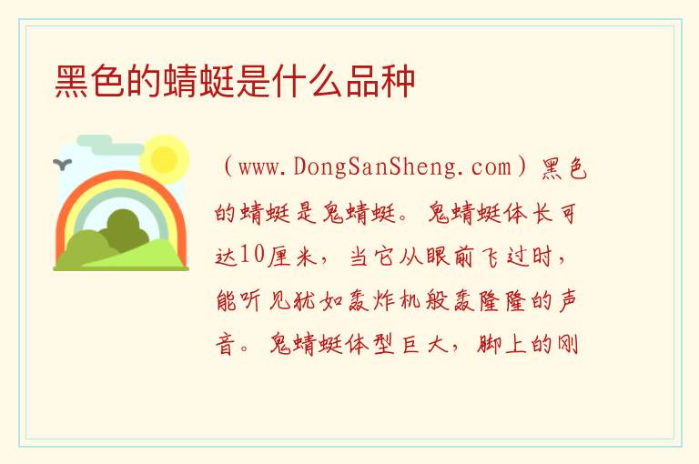 黑色的蜻蜓是什么品种 