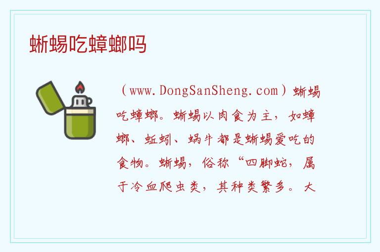 蜥蜴吃蟑螂吗 