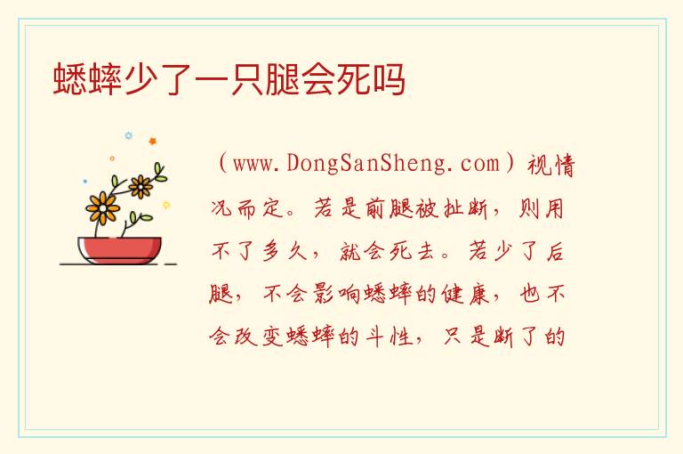 蟋蟀少了一只腿会死吗 
