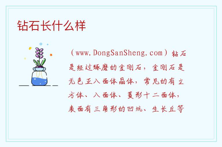 钻石长什么样 