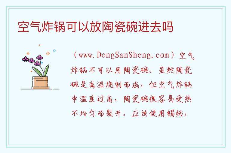 空气炸锅可以放陶瓷碗进去吗 