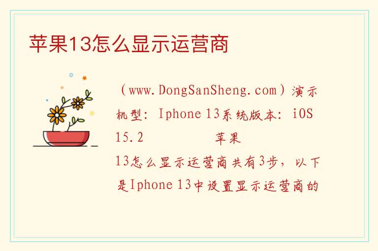苹果13怎么显示运营商 