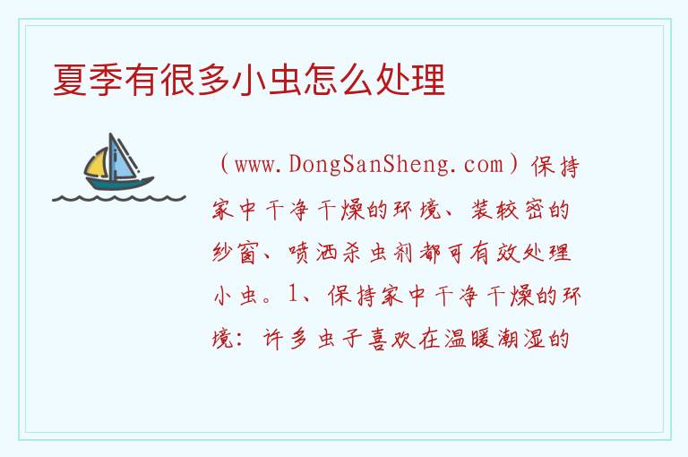 夏季有很多小虫怎么处理 