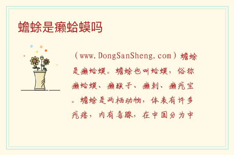 蟾蜍是癞蛤蟆吗 