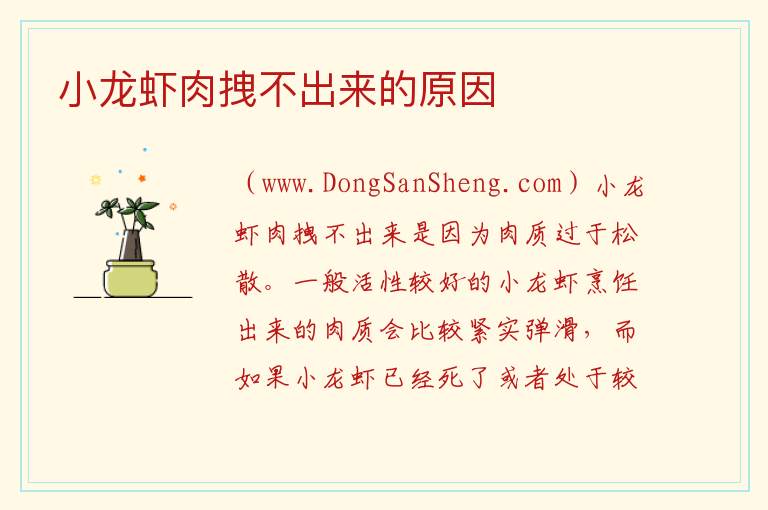 小龙虾肉拽不出来的原因 