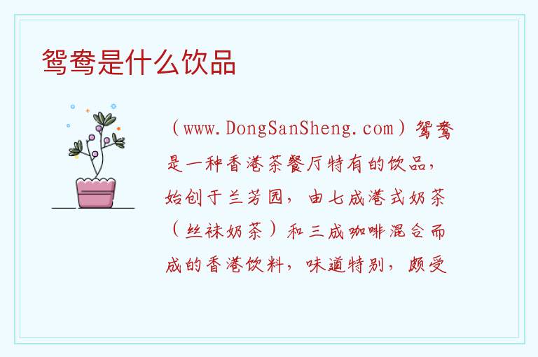 鸳鸯是什么饮品 