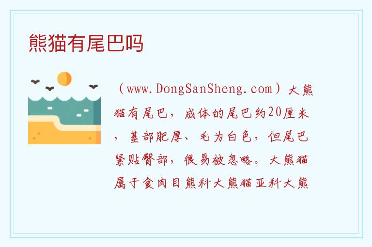 熊猫有尾巴吗 