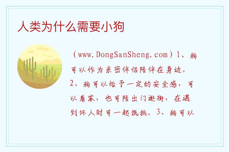 人类为什么需要小狗 