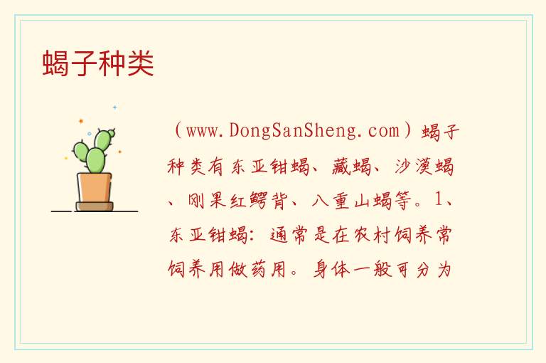 蝎子种类 