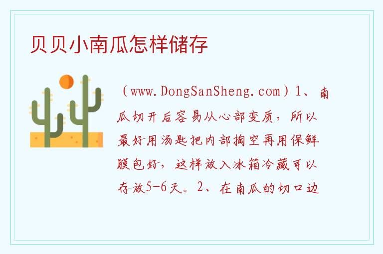 贝贝小南瓜怎样储存 
