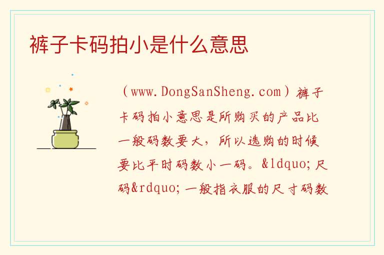 裤子卡码拍小是什么意思 