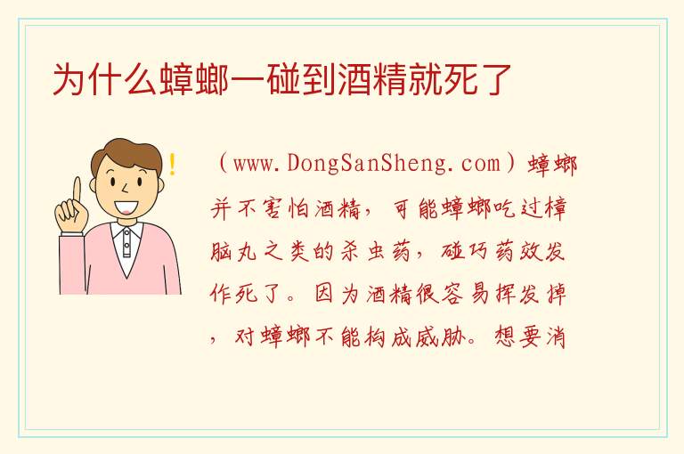 为什么蟑螂一碰到酒精就死了 