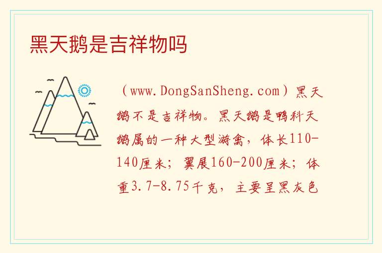 黑天鹅是吉祥物吗 