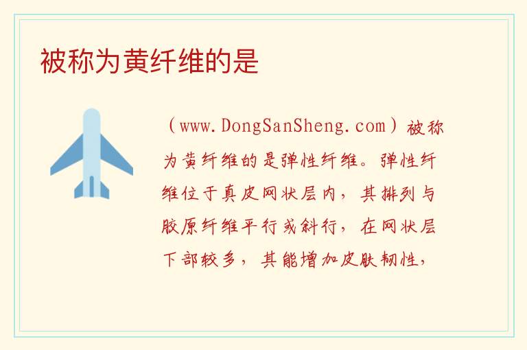 被称为黄纤维的是 