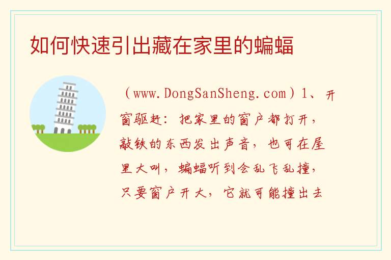 如何快速引出藏在家里的蝙蝠 