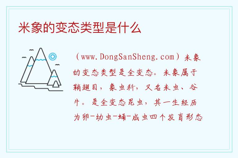 米象的变态类型是什么 