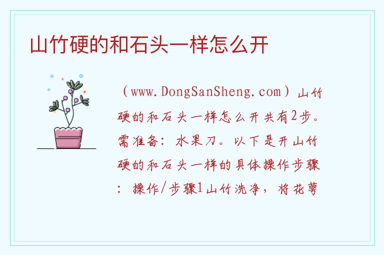 山竹硬的和石头一样怎么开 