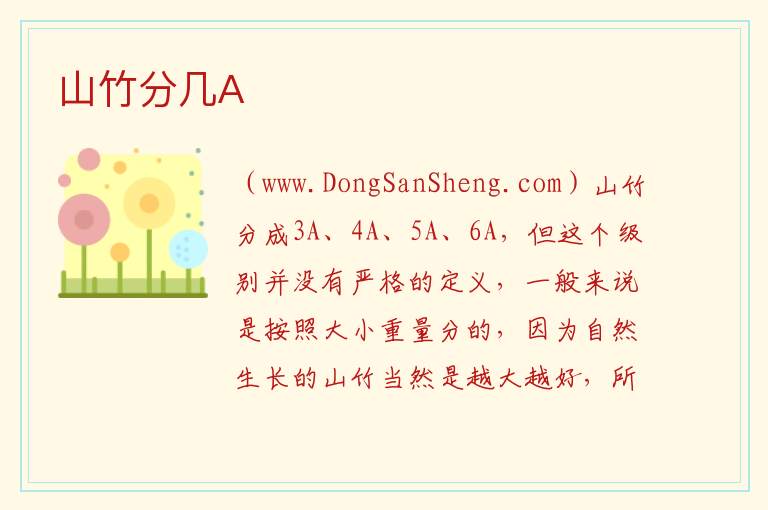 山竹分几A 