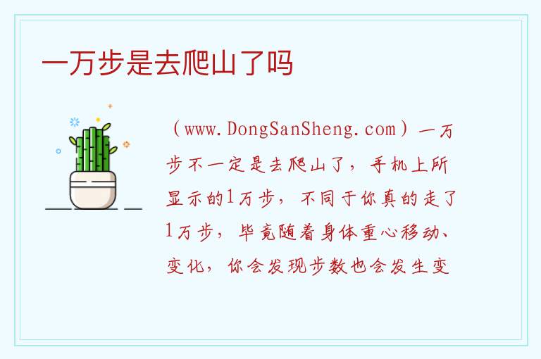 一万步是去爬山了吗 