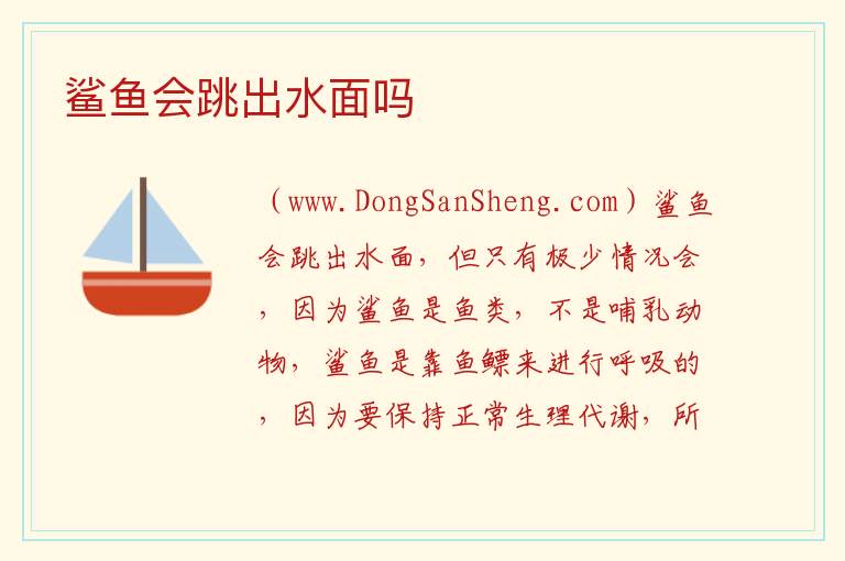 鲨鱼会跳出水面吗 