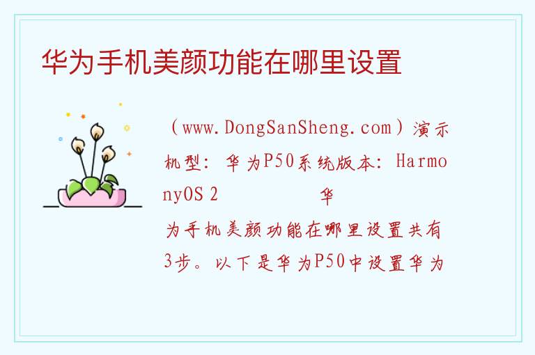 华为视频聊天怎么开美颜，华为视频聊天怎么开美颜