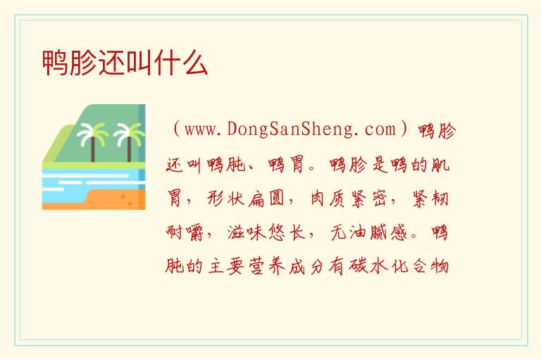 鸭胗还叫什么 