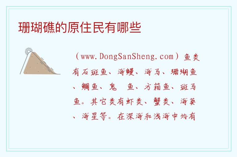 珊瑚礁的原住民有哪些 
