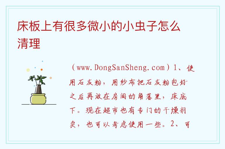 床板上有很多微小的小虫子怎么清理 