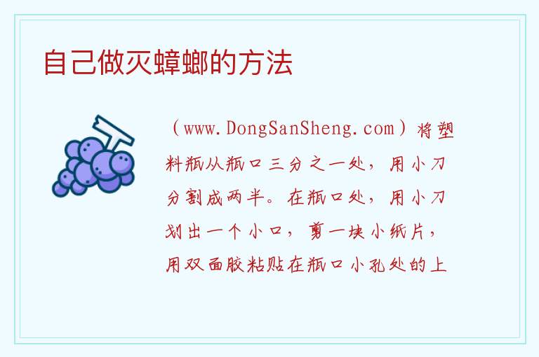 自己做灭蟑螂的方法 
