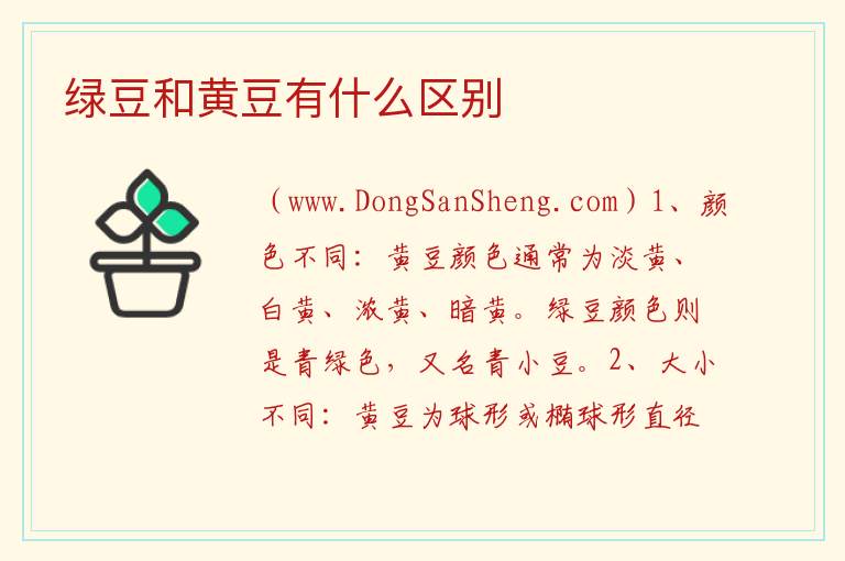 绿豆和黄豆有什么区别 