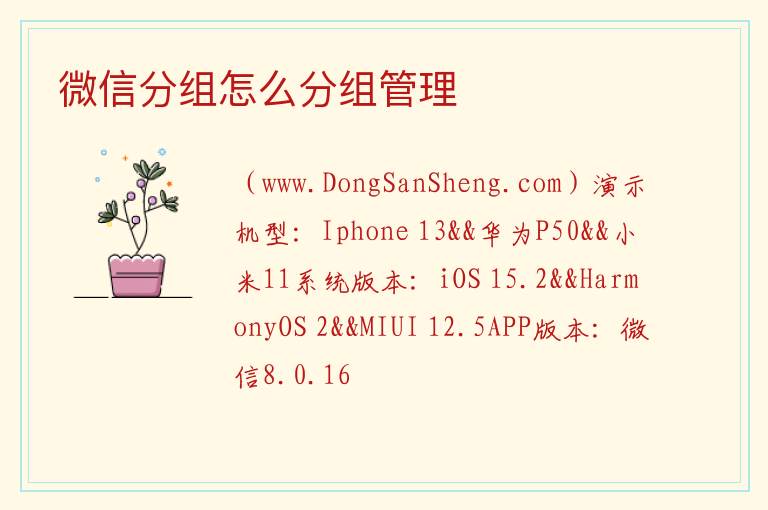 微信分组怎么分组管理 