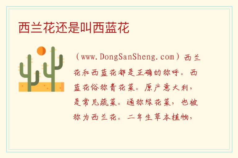 西蓝花和西兰花那个对，西蓝花和西兰花那个对