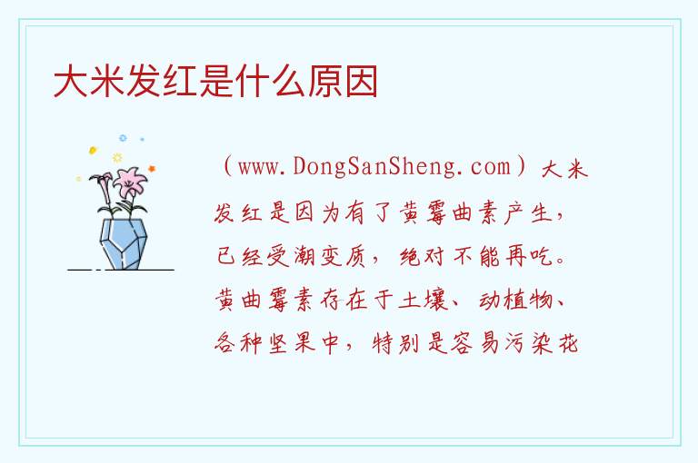 大米发红是什么原因 