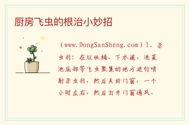 厨房飞虫的根治小妙招 