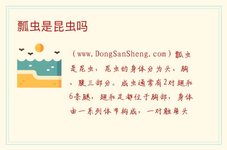 瓢虫是昆虫吗 
