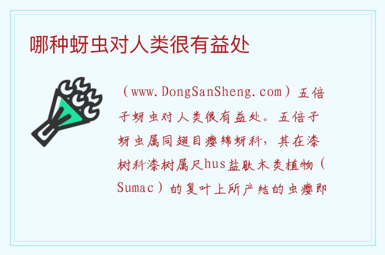 哪种蚜虫对人类很有益处 