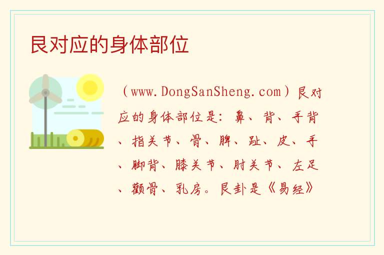 艮对应的身体部位 