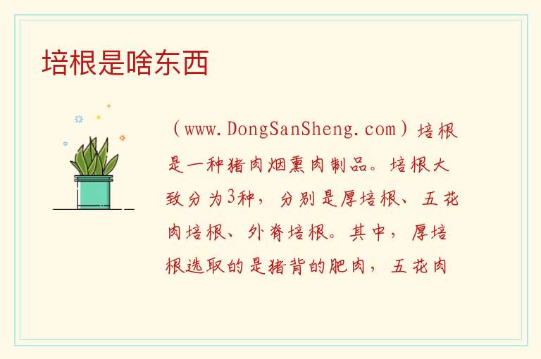 培根是啥东西 