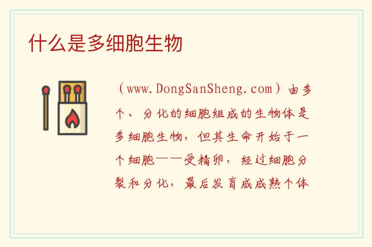 什么是多细胞生物 