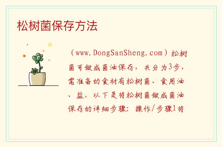 松树菌保存方法 