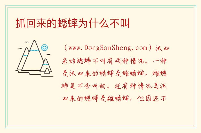 抓回来的蟋蟀为什么不叫 