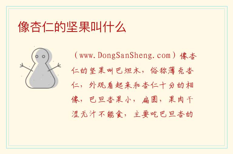 像杏仁的坚果叫什么 