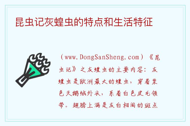 昆虫记灰蝗虫的特点和生活特征 昆虫记蝗虫思维导图清晰