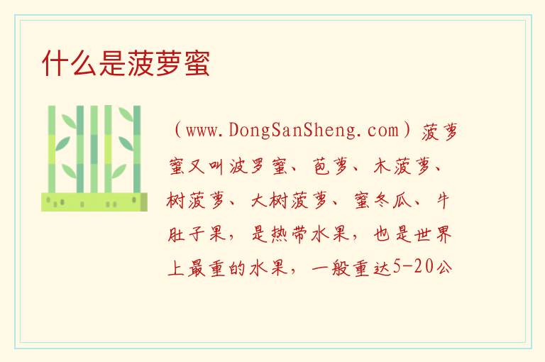 什么是菠萝蜜 